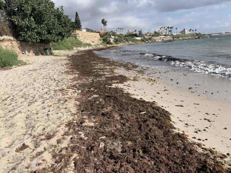 19-08-23 10-45-56 2399 19-08-23 10-45-56 2399