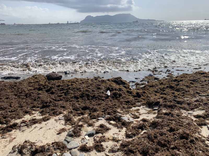 19-08-23 10-46-36 2402 19-08-23 10-46-36 2402