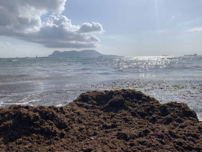 19-08-23 10-47-09 2407 19-08-23 10-47-09 2407