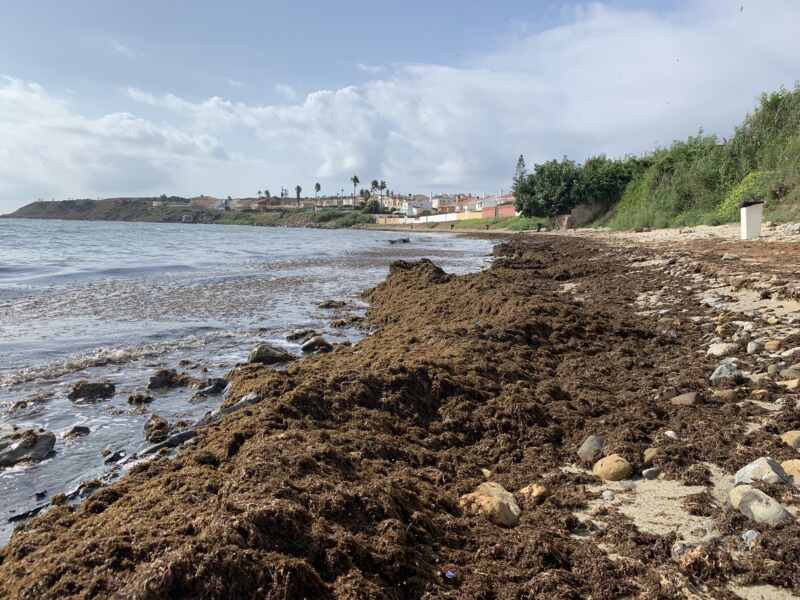 19-08-23 10-47-31 2409 19-08-23 10-47-31 2409