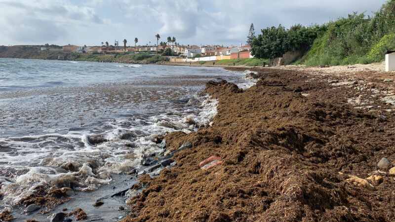 19-08-23 10-48-08 2412