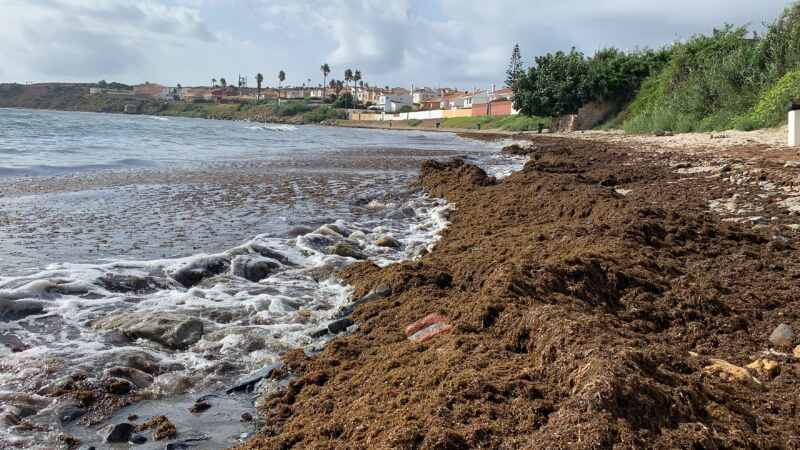 19-08-23 10-48-09 2414 19-08-23 10-48-09 2414