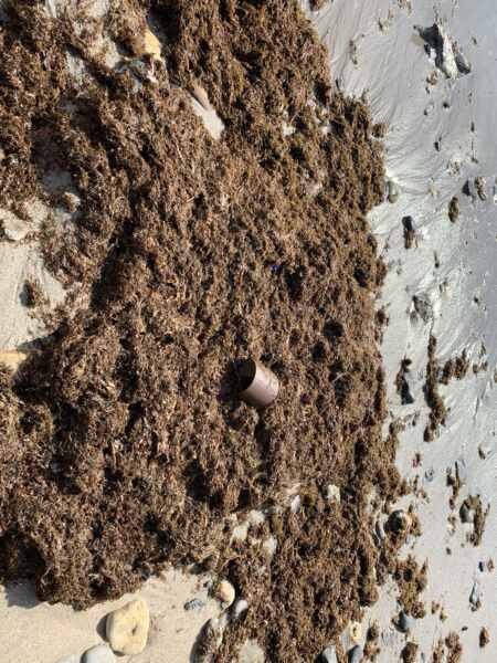 19-08-23 10-49-02 2418 19-08-23 10-49-02 2418