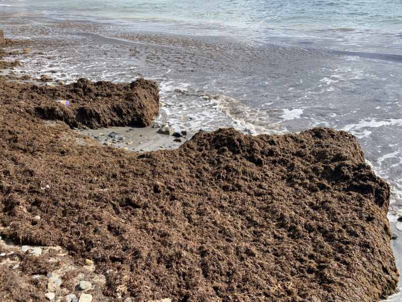 19-08-23 10-49-14 2419 19-08-23 10-49-14 2419