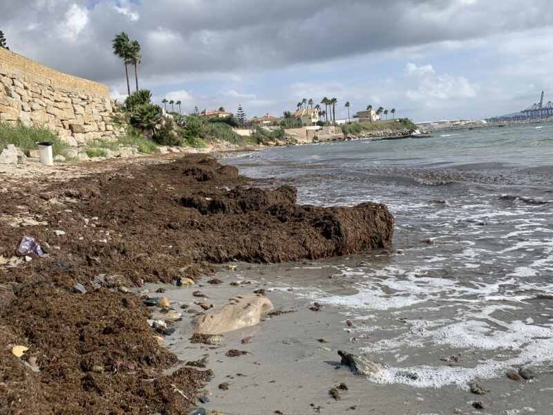 19-08-23 10-49-26 2420 19-08-23 10-49-26 2420