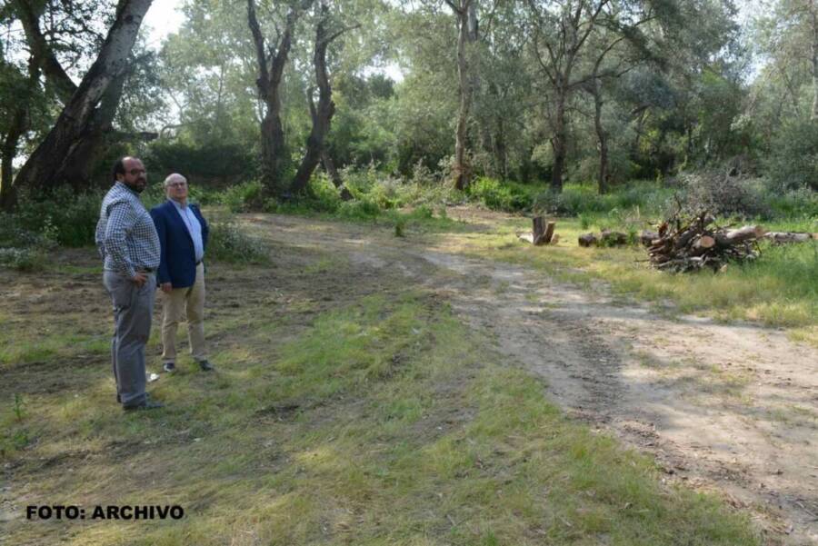 arreglos_san_enrique_romeria archivo