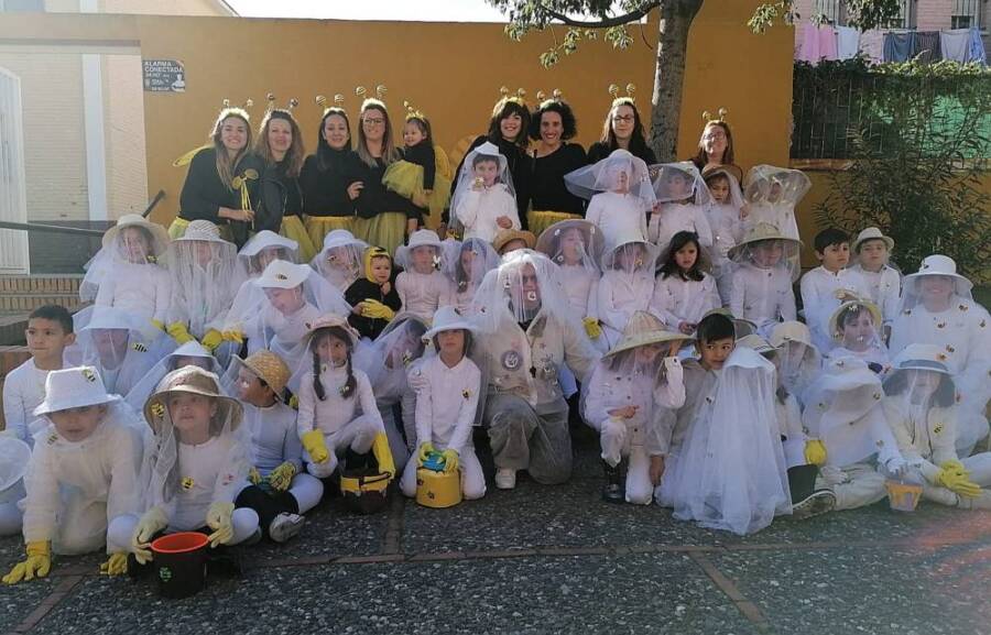 Cole Alcornocales Carnaval