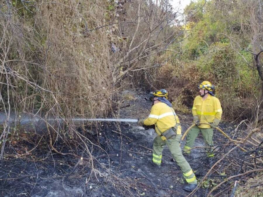 Cádiz.-Incendios.- Infoca da por extinguido el incendio declarado hace una semana en Algeciras de unas 198 hectáreas