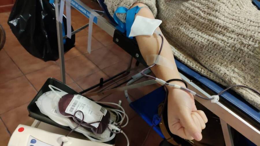 donación sangre