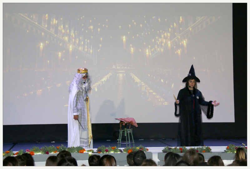 Tolosa proyecto Harry Potter (3)