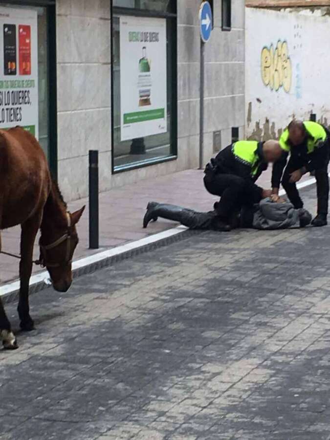 policia difum