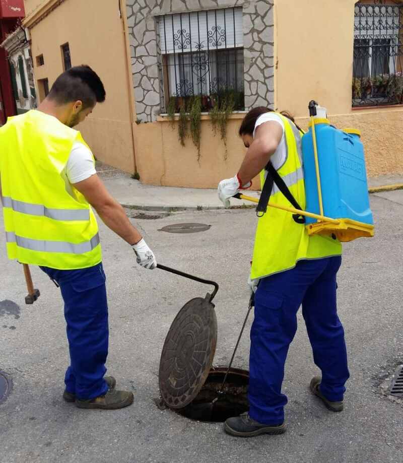 Desinsectacion Desinsectacion