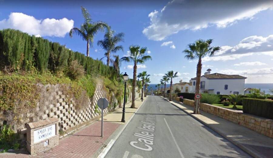 Calle_las_camelias