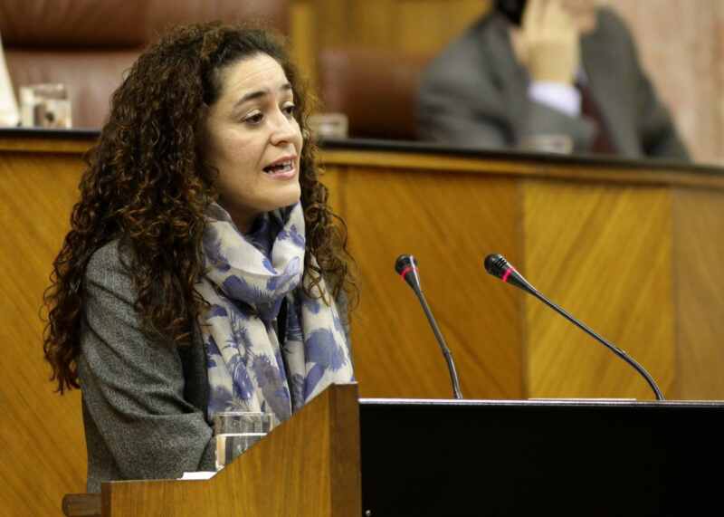 La portavoz de Salud y Familias de Adelante Andalucía, en el Parlamento andaluz. La portavoz de Salud y Familias de Adelante Andalucía, en el Parlamento andaluz.