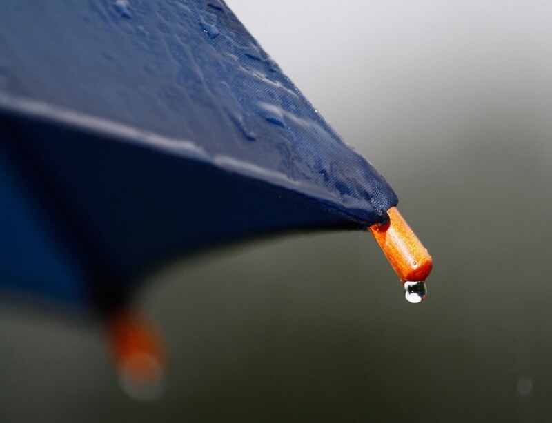 rain-umbrella-drip-6f6f05-1024 rain-umbrella-drip-6f6f05-1024