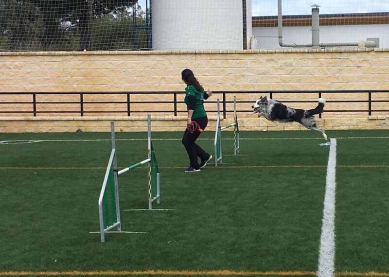 29511388_1593763037411587_3415620453364934229_n