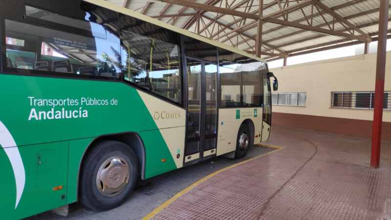 consorcio autobuses