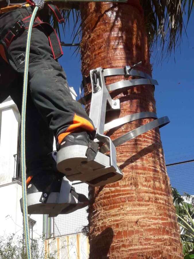 nueva herramienta poda OyS2 nueva herramienta poda OyS2