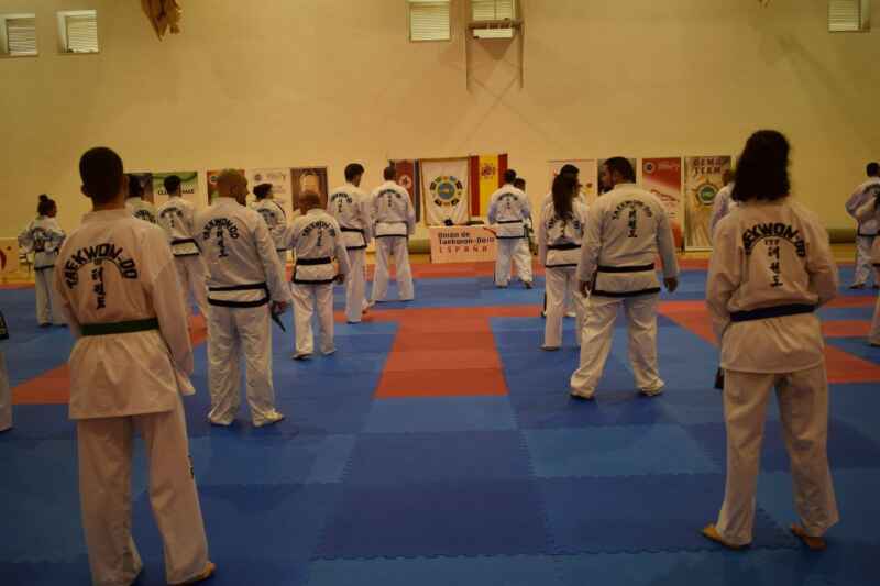 taekwondo itf taekwondo itf