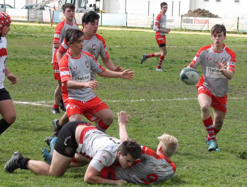 rugby rugby