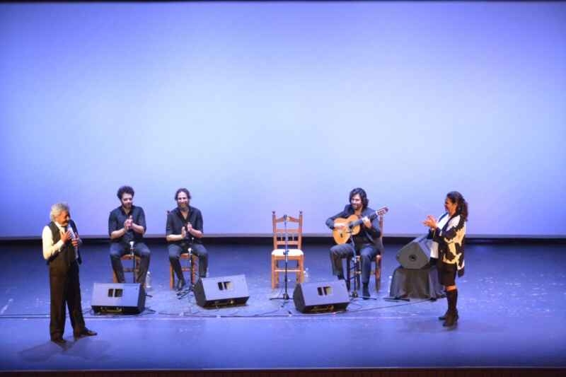 bienal actuacion pansequito27 bienal actuacion pansequito27