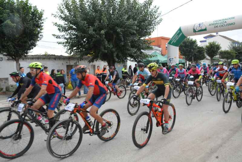 8 mtb sierra arca8 8 mtb sierra arca8