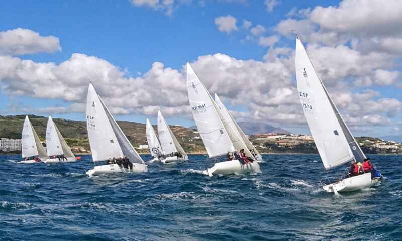 vela j80 19 vela j80 19