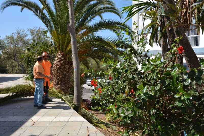 jardineria barriada paz6