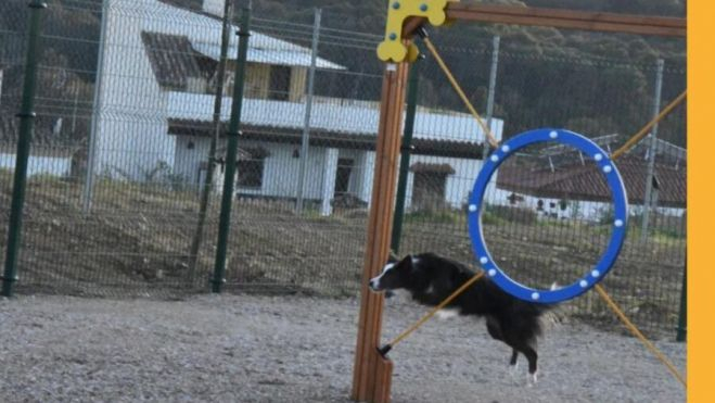 El parque para perros toma forma en Urbisur