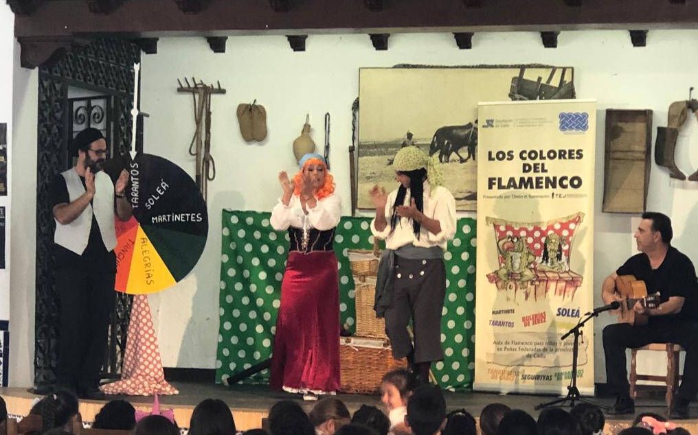 Aula Flamenco Diputacion