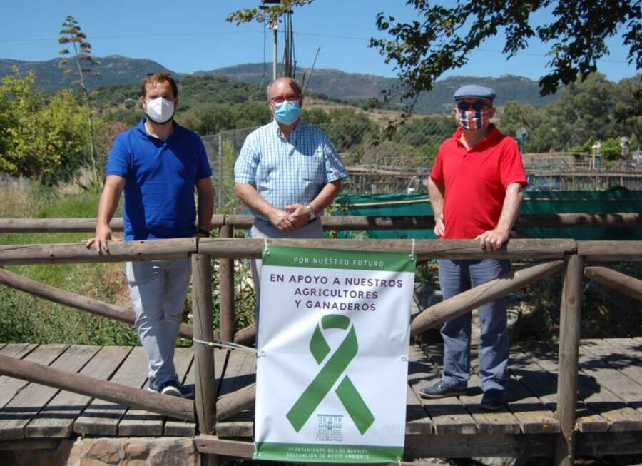 lazo verde 056