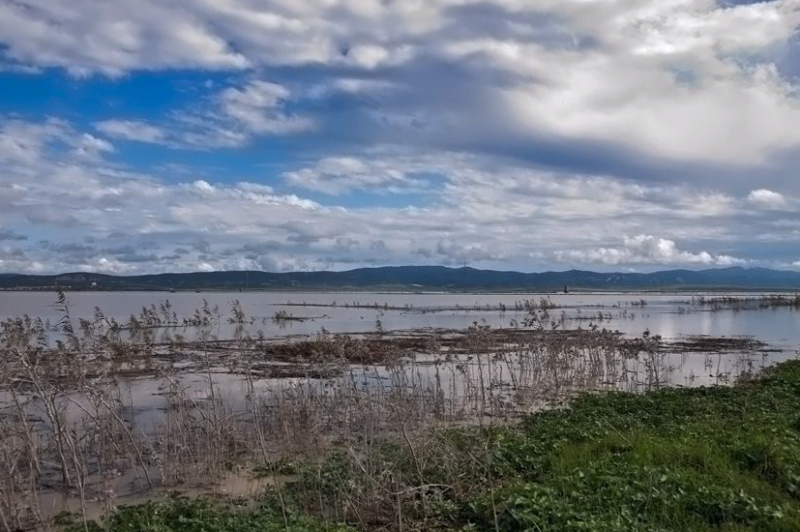 laguna la janda laguna la janda
