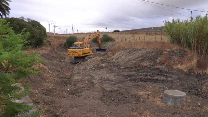 LIMPIEZA CAUCE ARROYO ZARZUELA (2)