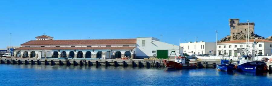 Nueva Lonja Tarifa. Las ventas de las diez lonjas de la provincia de Cádiz alcanzan más de 25,8 millones de euros