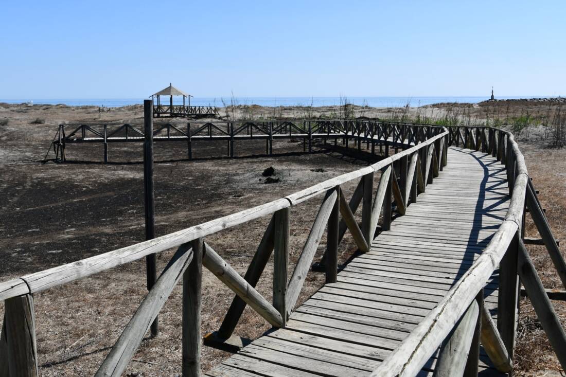 2020 visita pasarela laguna torreguadiaro1