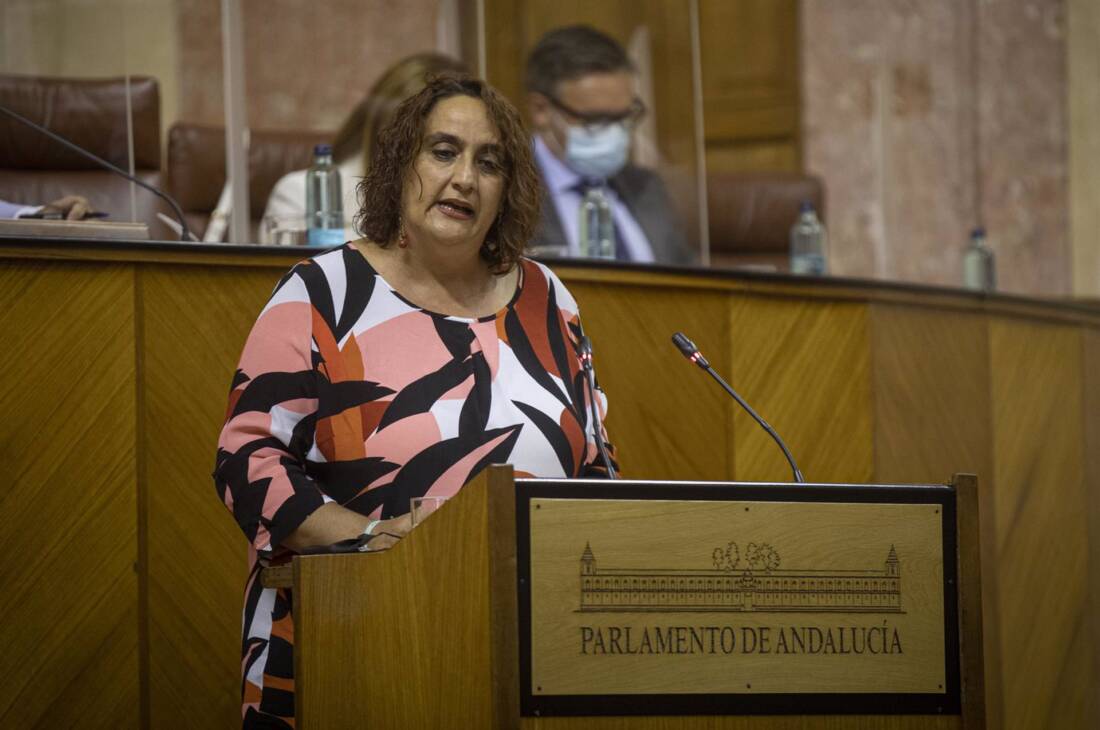 Aguilera denuncia "el golpe de timón" en la Cámara de Cuentas de PP y Cs, al que describe como "el Gobierno del manoseo"