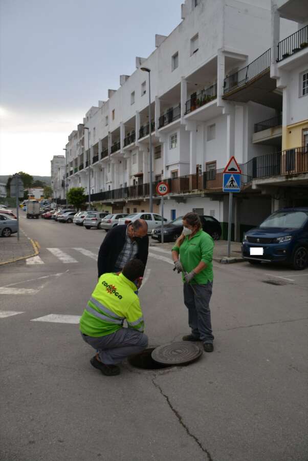 2021 fumigacion olivillos1