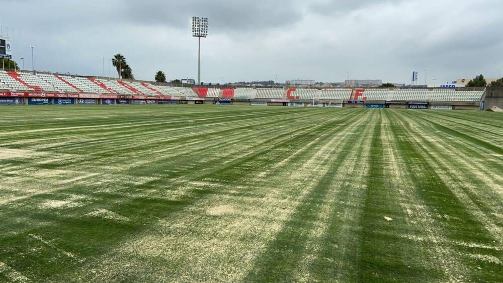 CESPED CAMPO DE FUTBOL