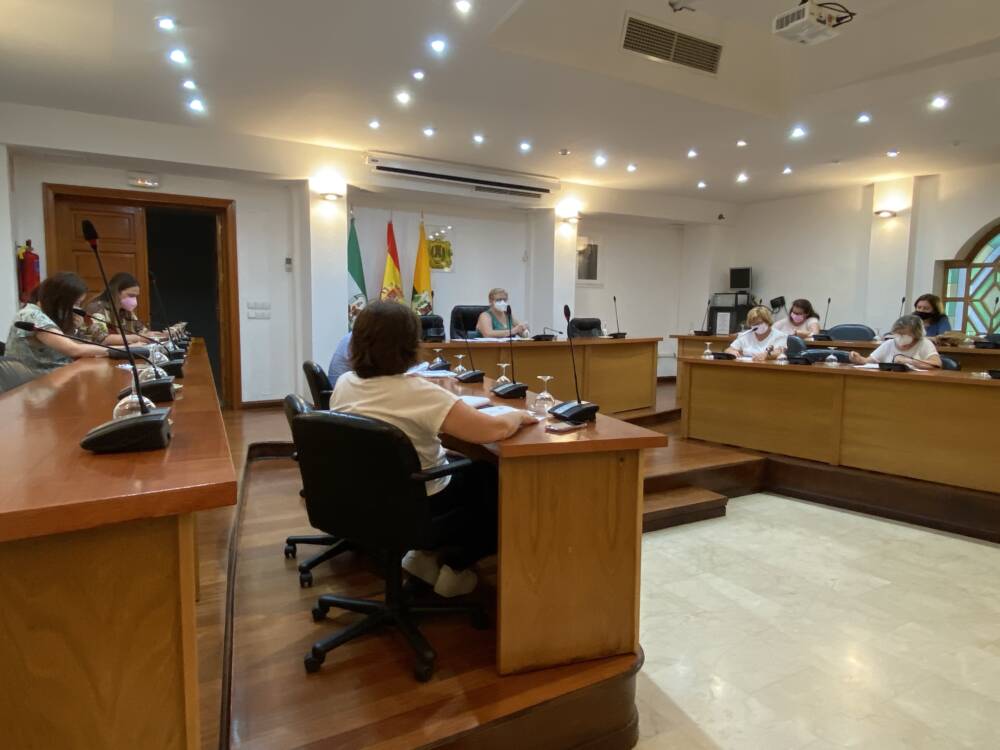 Reunión Comisiones Consejo Local de la Mujer