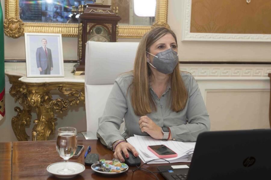 Irene Garcia preside el pleno de junio de 2021