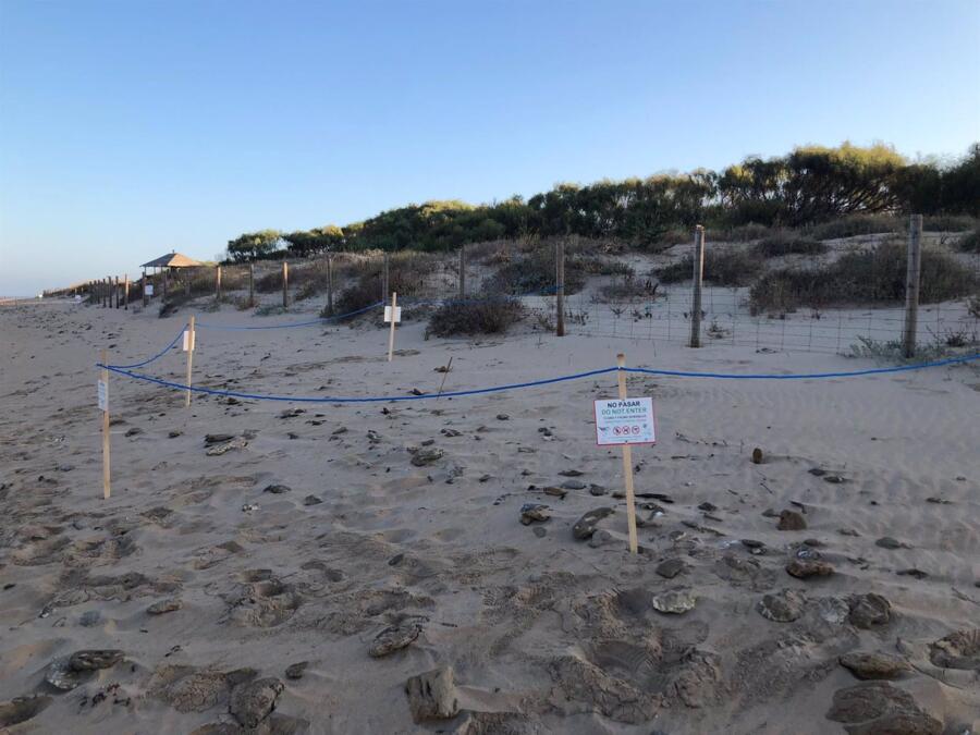 CádizAlDía.- Diputación instala sistemas de balizamiento y señalización para proteger el charlotinejo patinegro