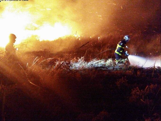 Incendio Cañaveral San Enrique