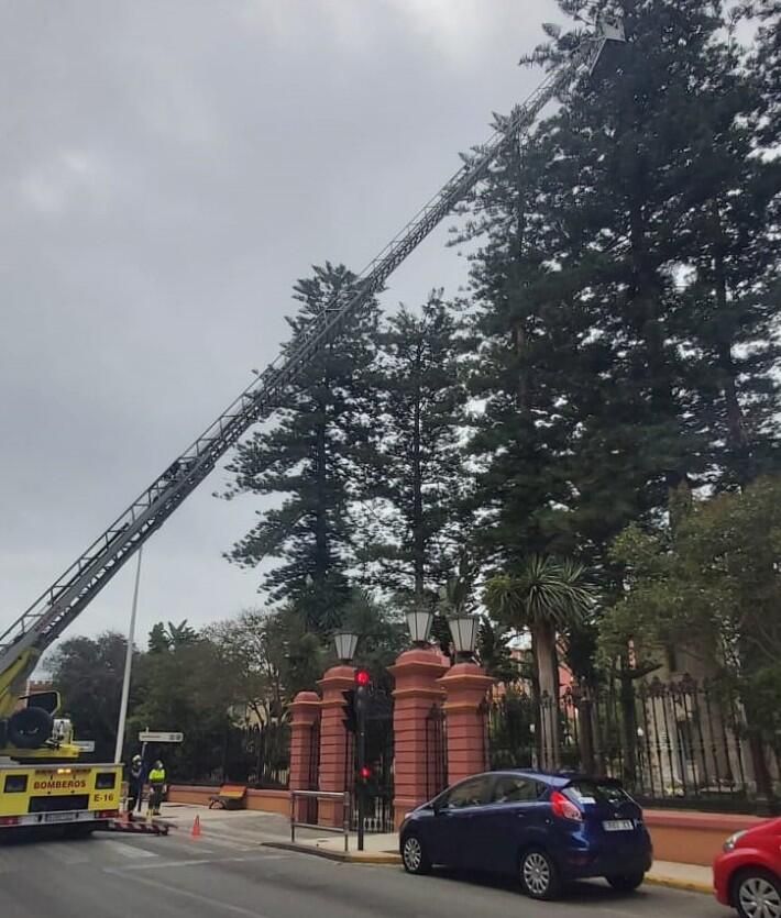 Bomberos en Jardiness Saccone