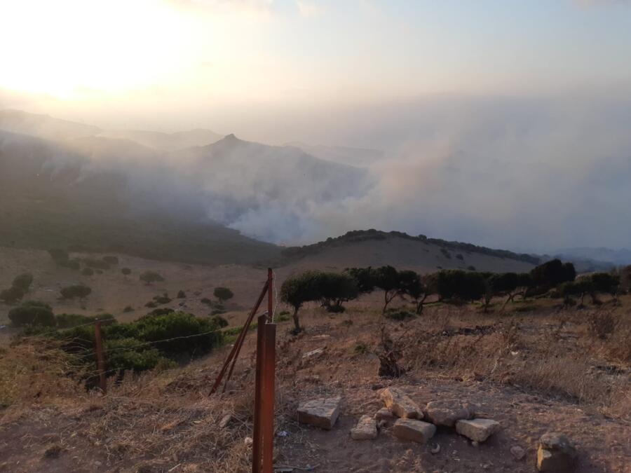 Incendio activo en Tarifa.