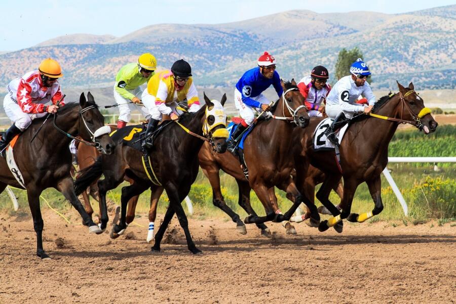 horses-4062298_1280