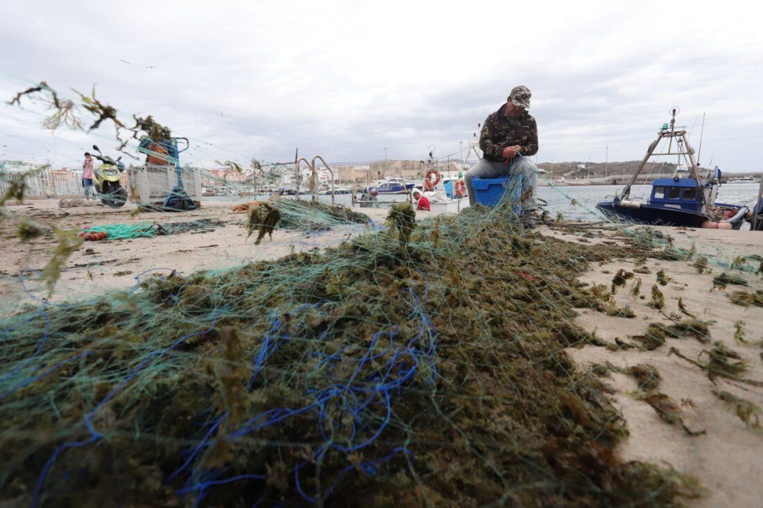 Las redes de los pescadores se convierten en una alfombra por la plaga del alga invasora.