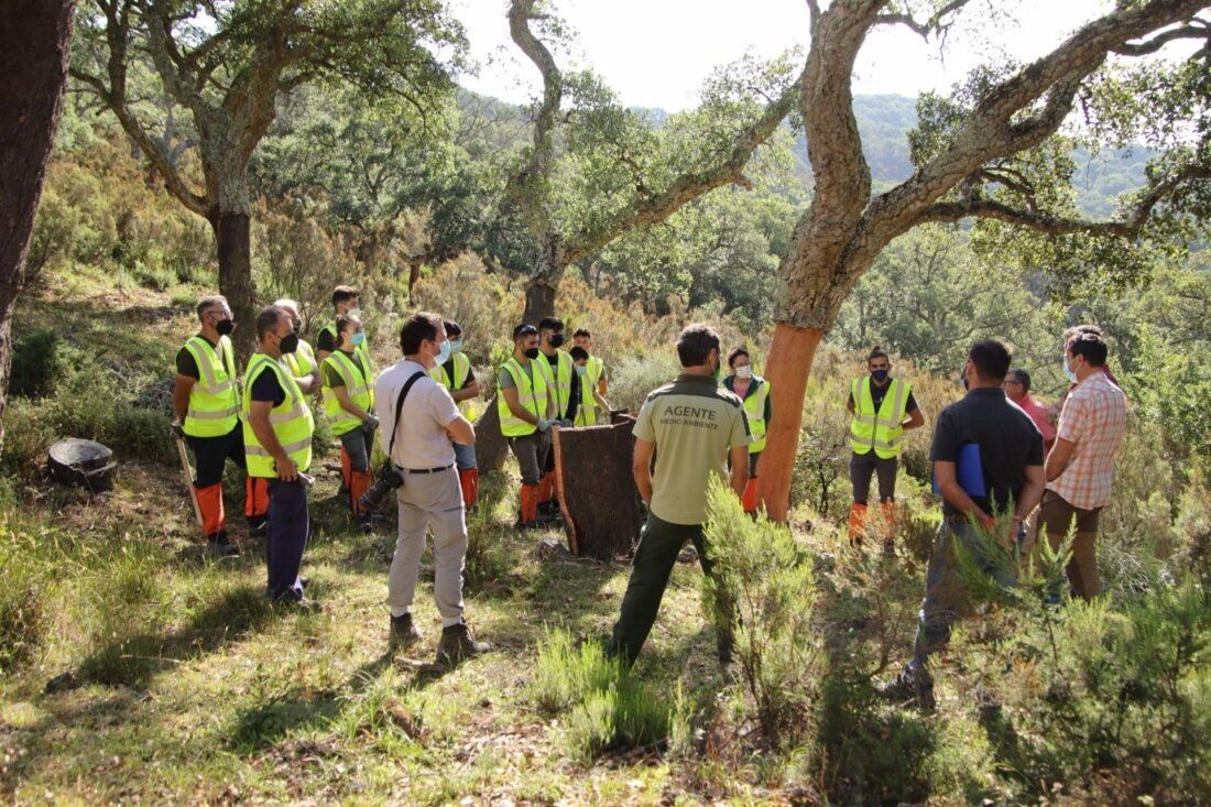 Cádiz.- La Junta desarrolla la tercera edición de la Escuela de Corcheros en el Parque Natural Los Alcornocales