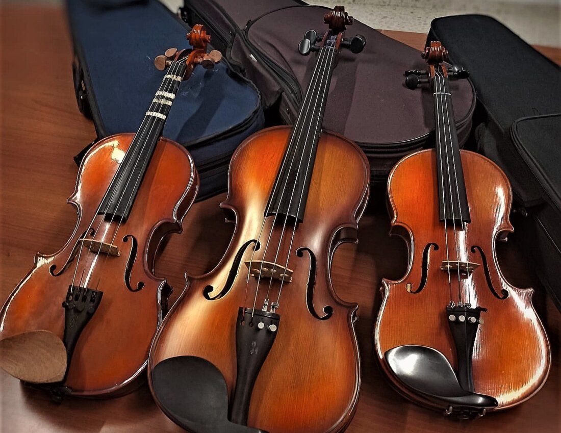 fotos violines
