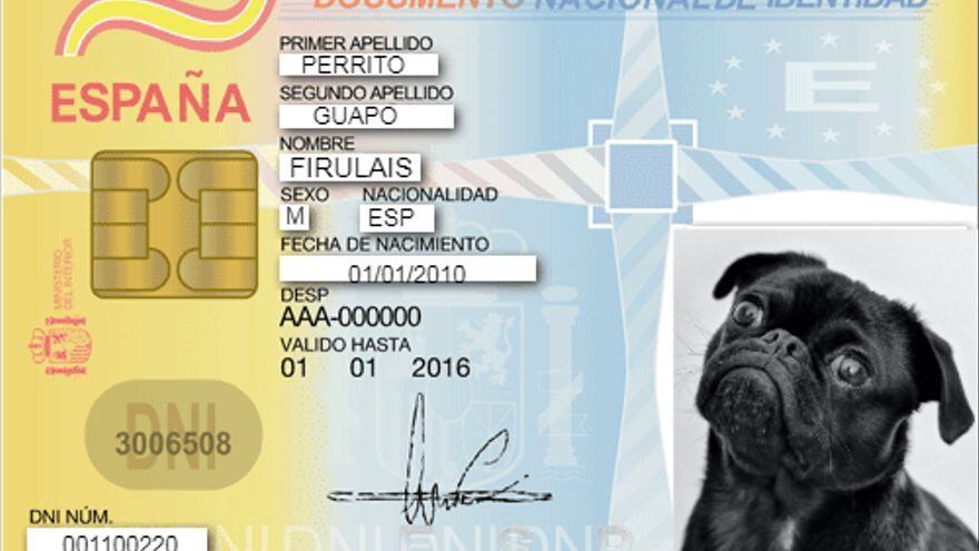 En 2022 será obligatorio que tu perro o gato tenga un DNI animal.