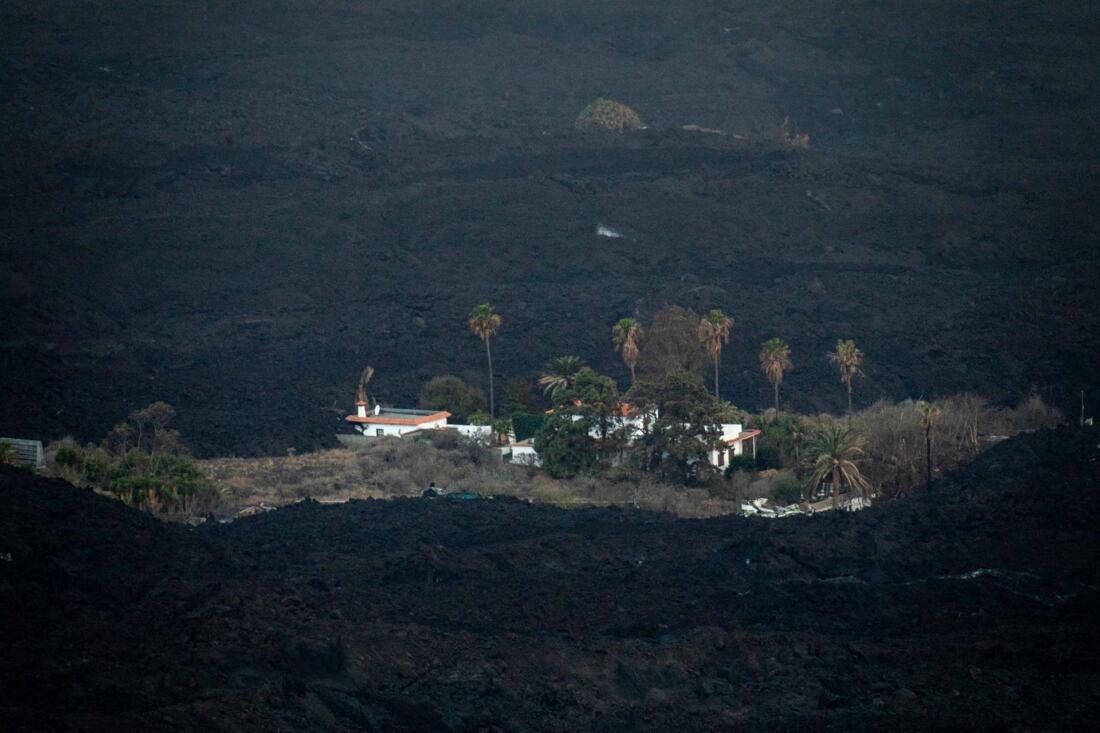 ceniza la palma